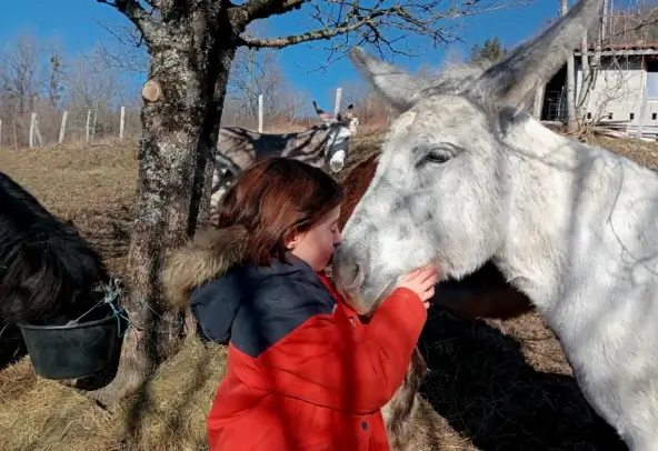 Une petite fille câlinant un âne