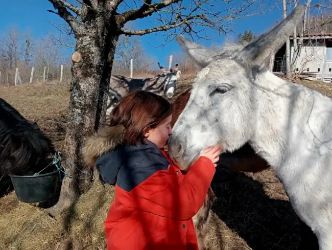 Une petite fille qui fait un bisou à un âne.