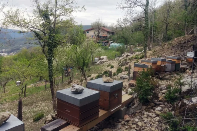 Nos ruches avec la Ferme du Croz et la vallée de l’Albarine en arrière plan