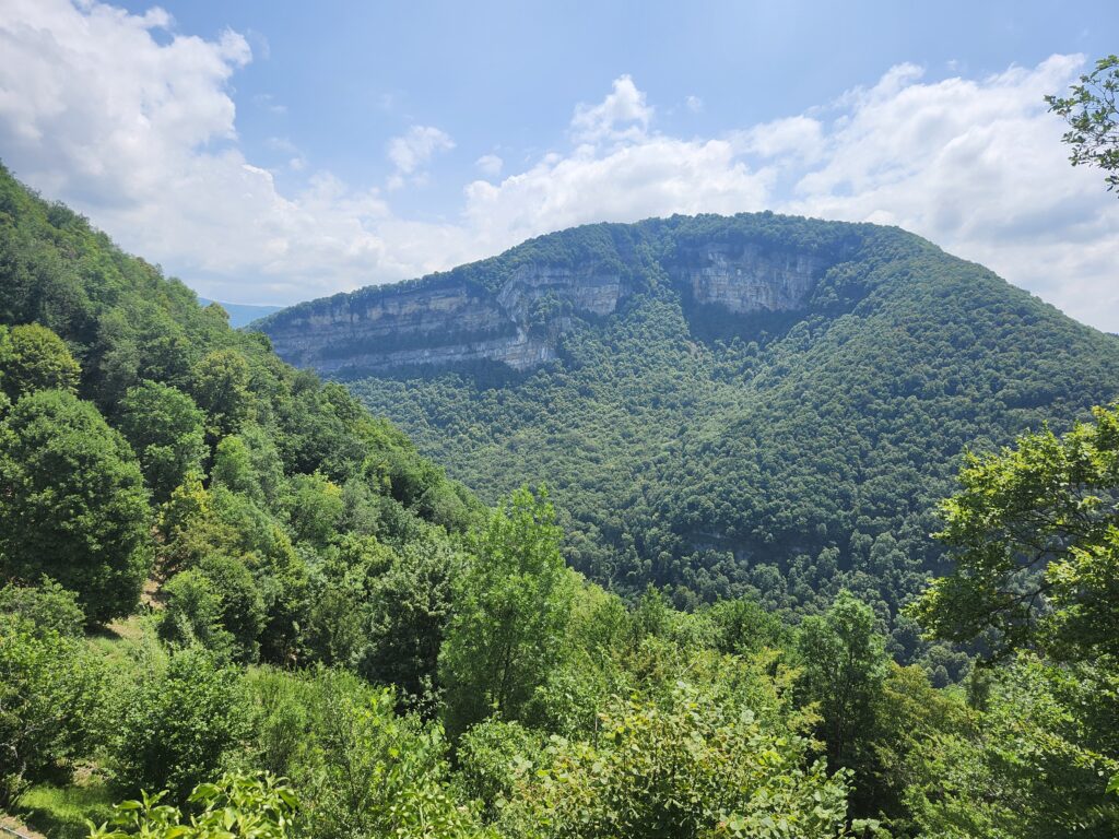 Vue