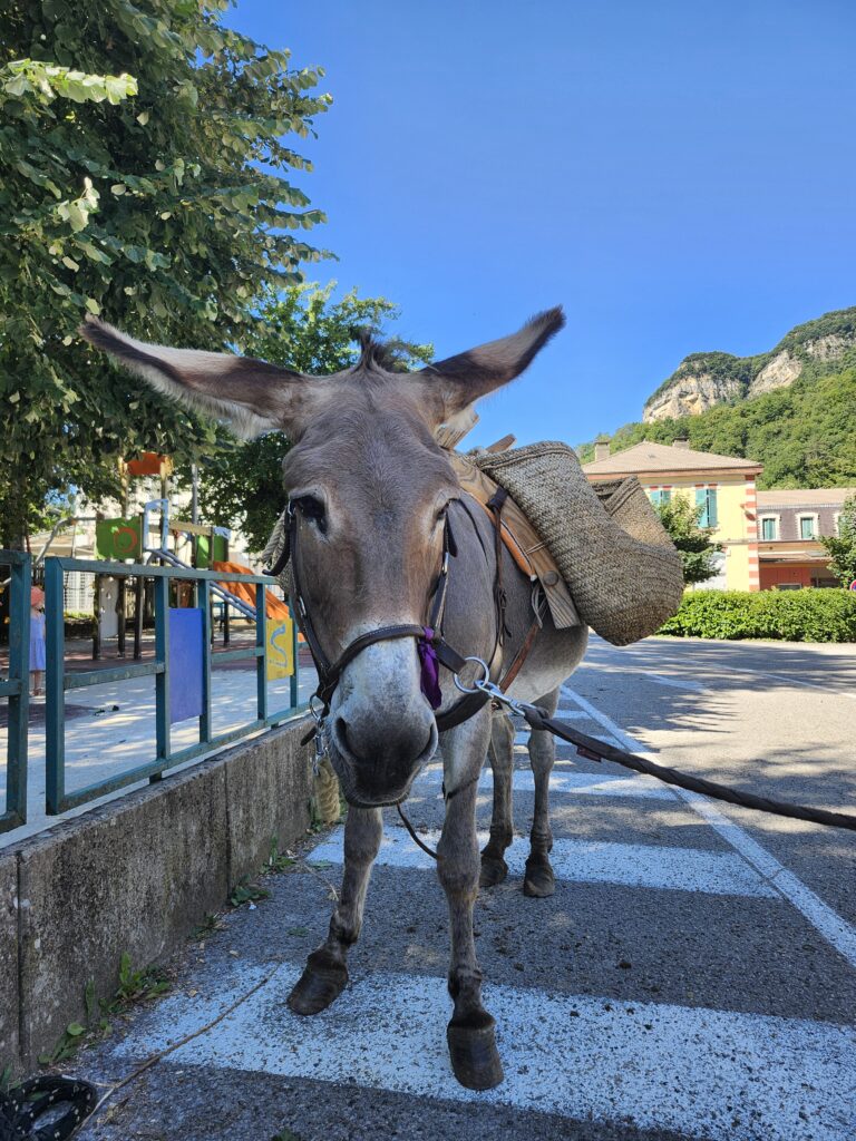 Chouquette Anes balade Bugey Ain